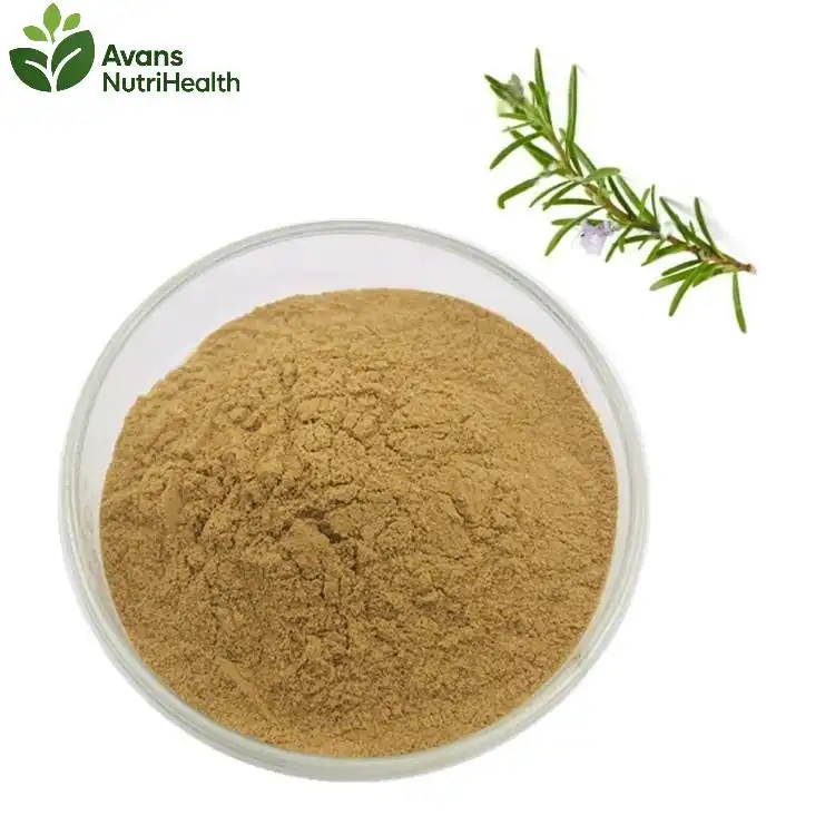 Rosemary Leaf Extract Powder